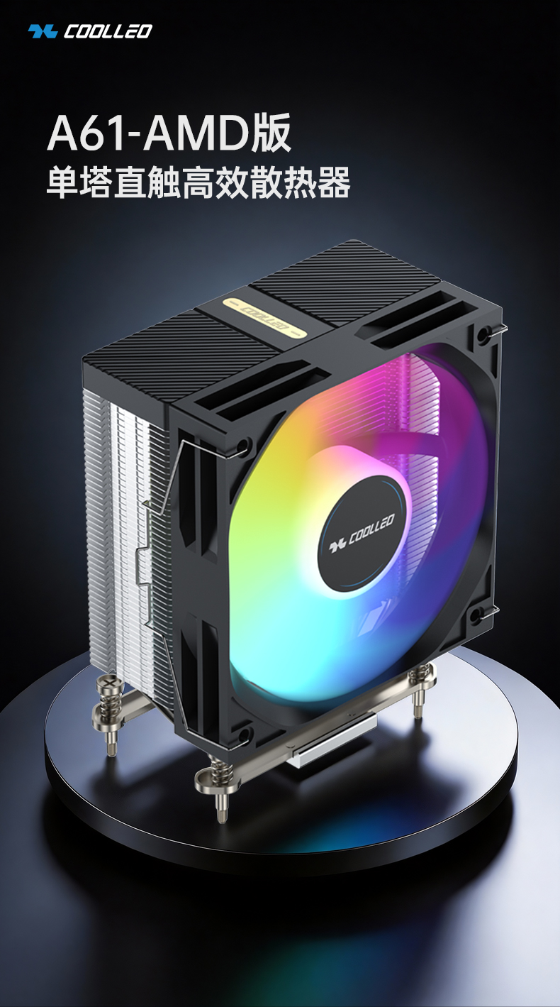 A61 H AMD